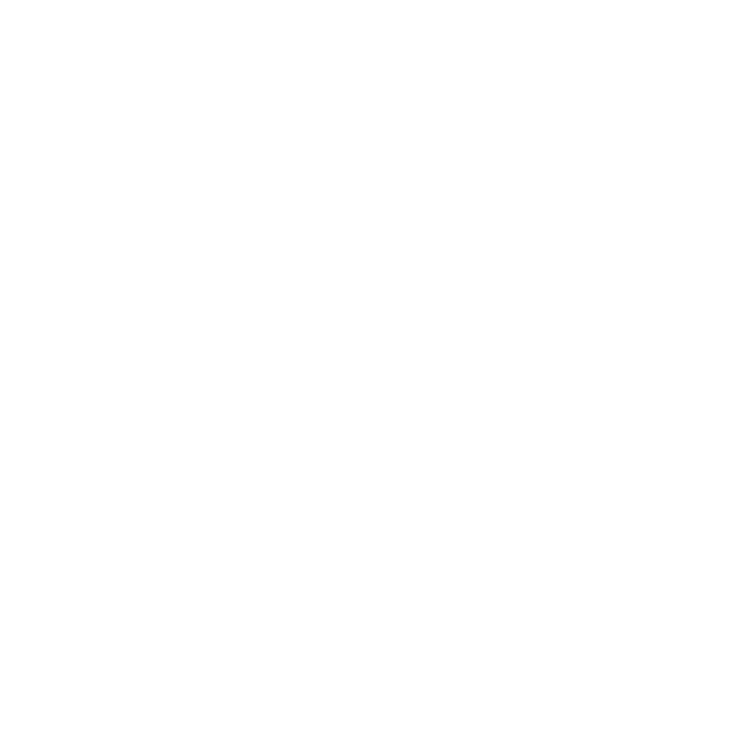 web developer